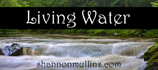 Living Water Shannon Mullins Ministries
